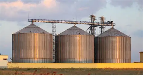 Food Price Shocks and the Case for a National Grain Reserve in Afghanistan